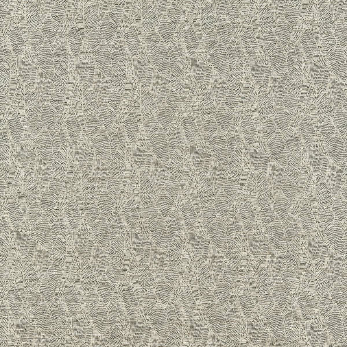 Eucalyptus - 91