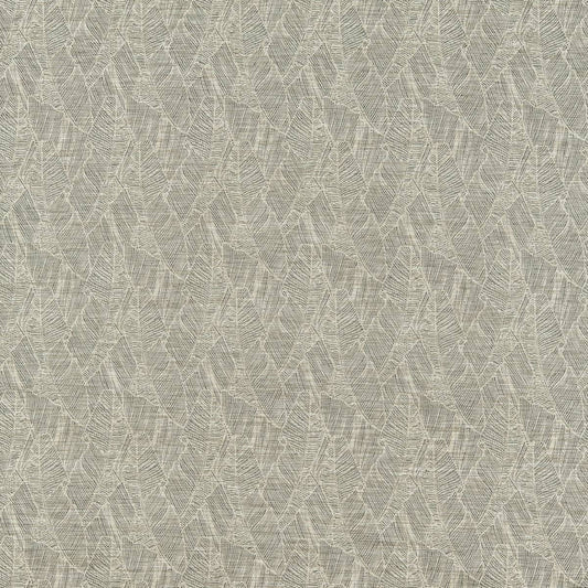 Eucalyptus - 91