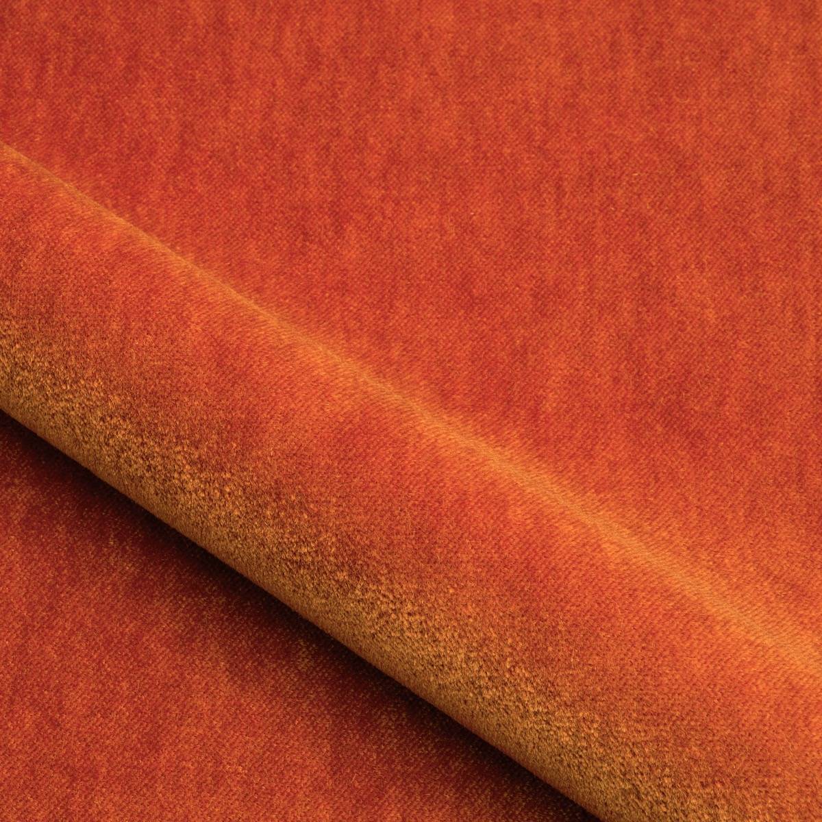 Velours Yeti - 55
