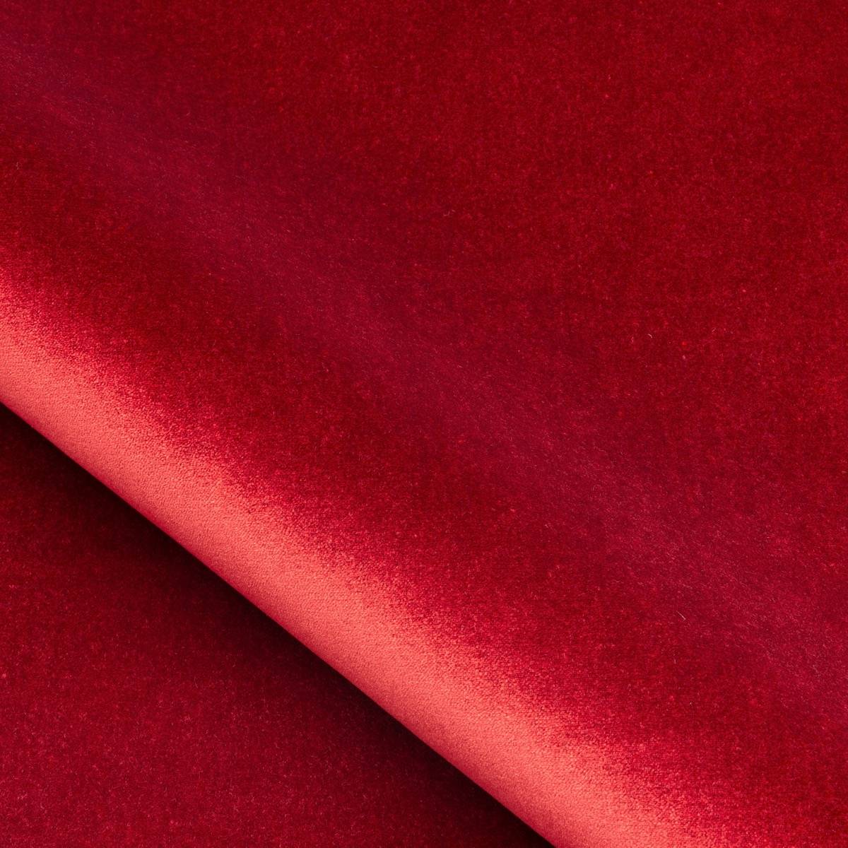 Velours Medicis - 51