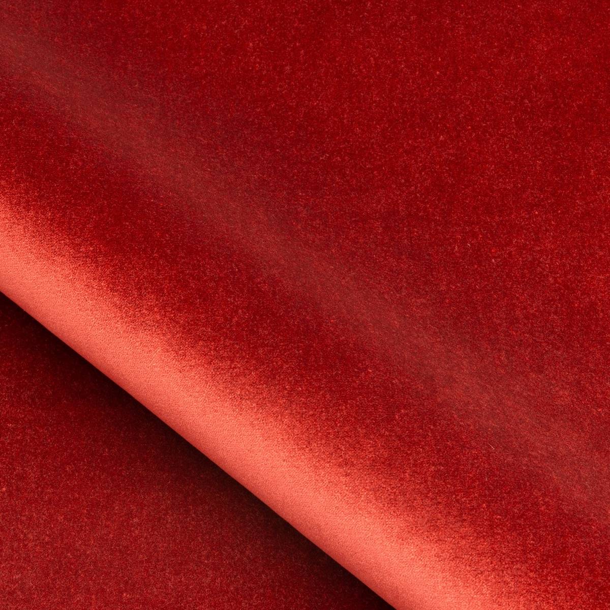 Velours Medicis - 53