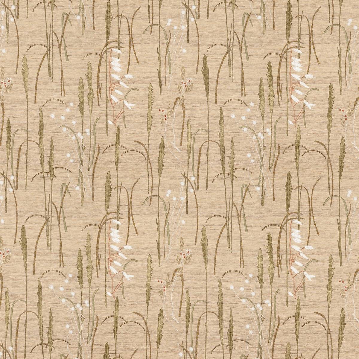 Herbier - __gallery