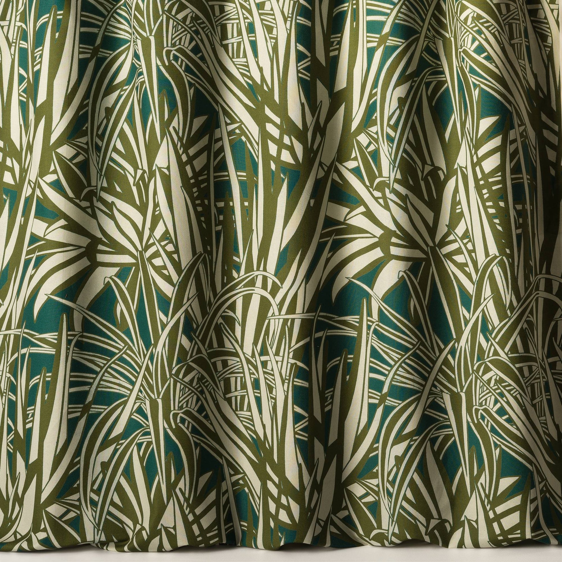 Agaves - 67