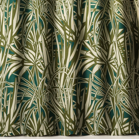 Agaves - 67