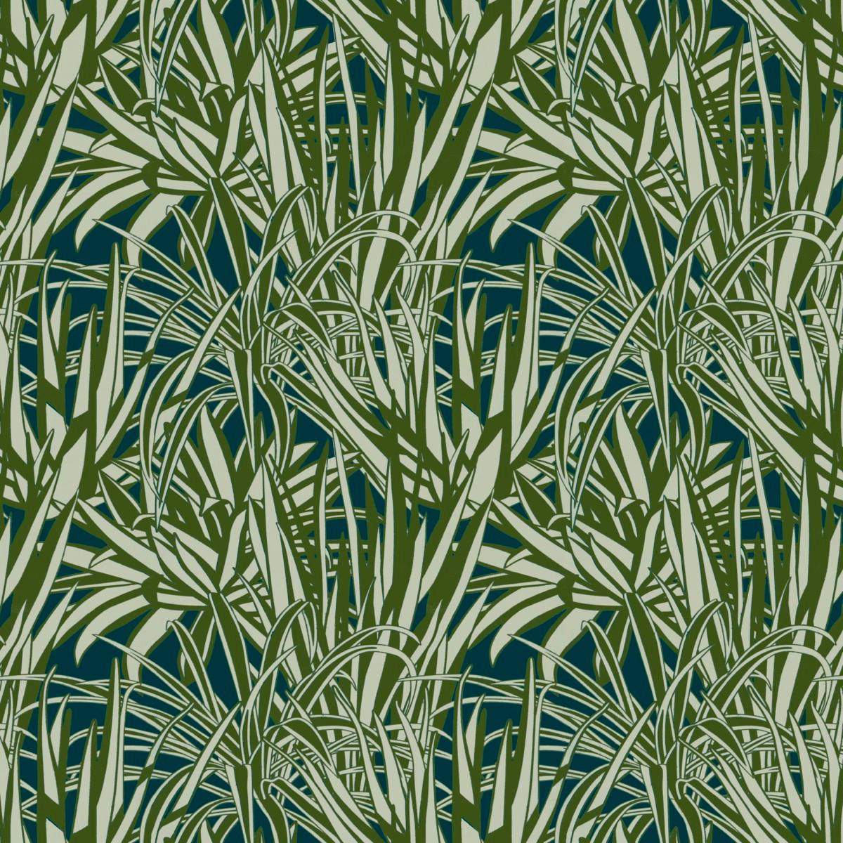 Aloe - __gallery