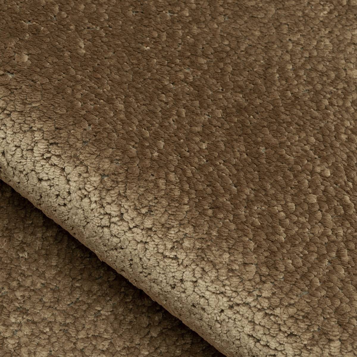 Arctique - 14