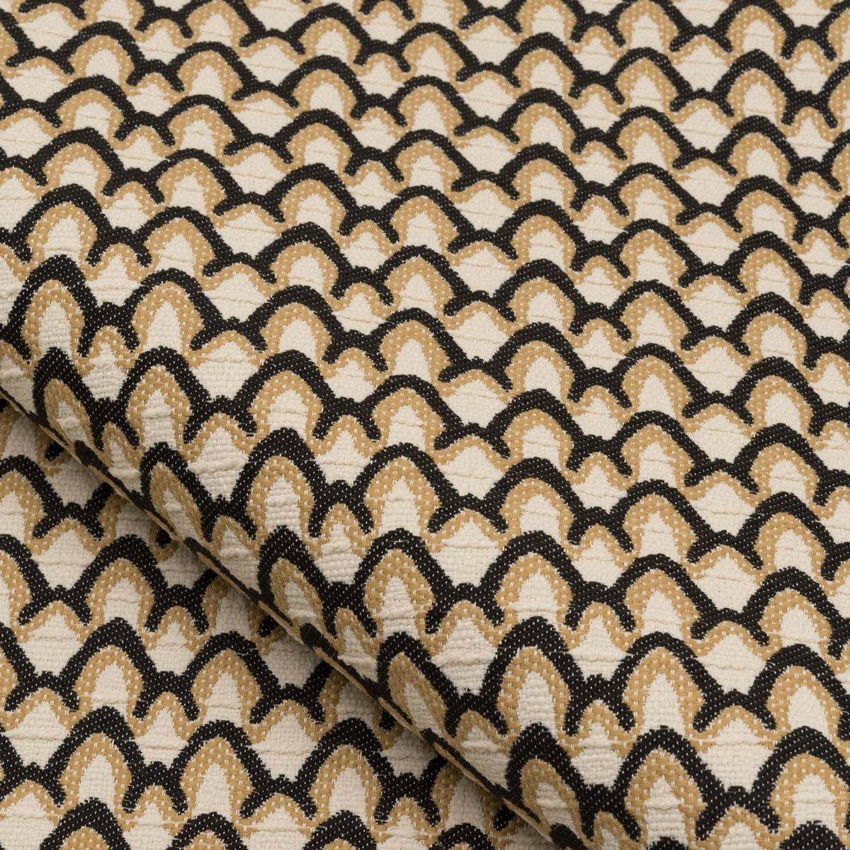 Shell - 23