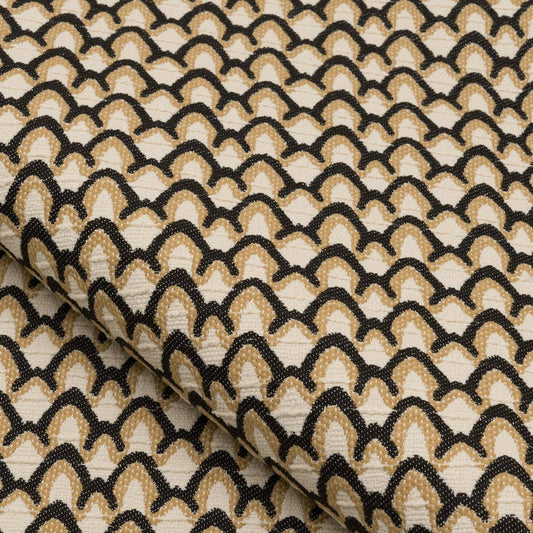Shell - 23