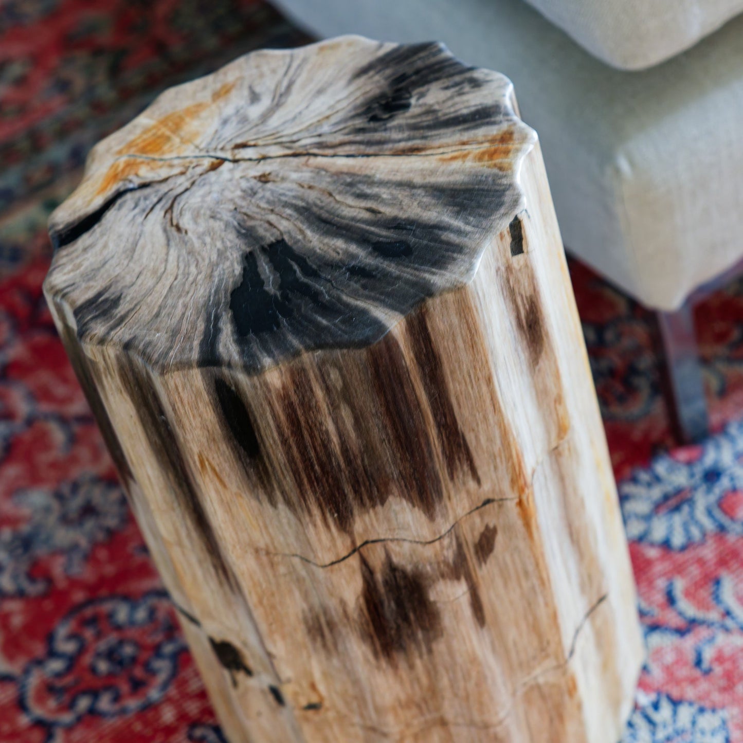 Andrew Martin | Petrified Scallop Log Side Table