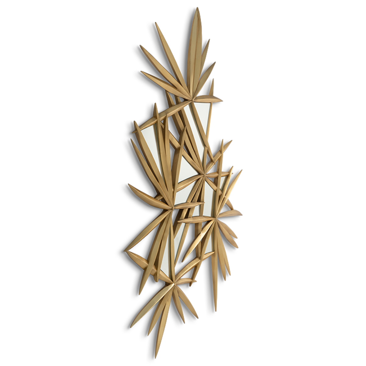 Christopher Guy | Stellaire