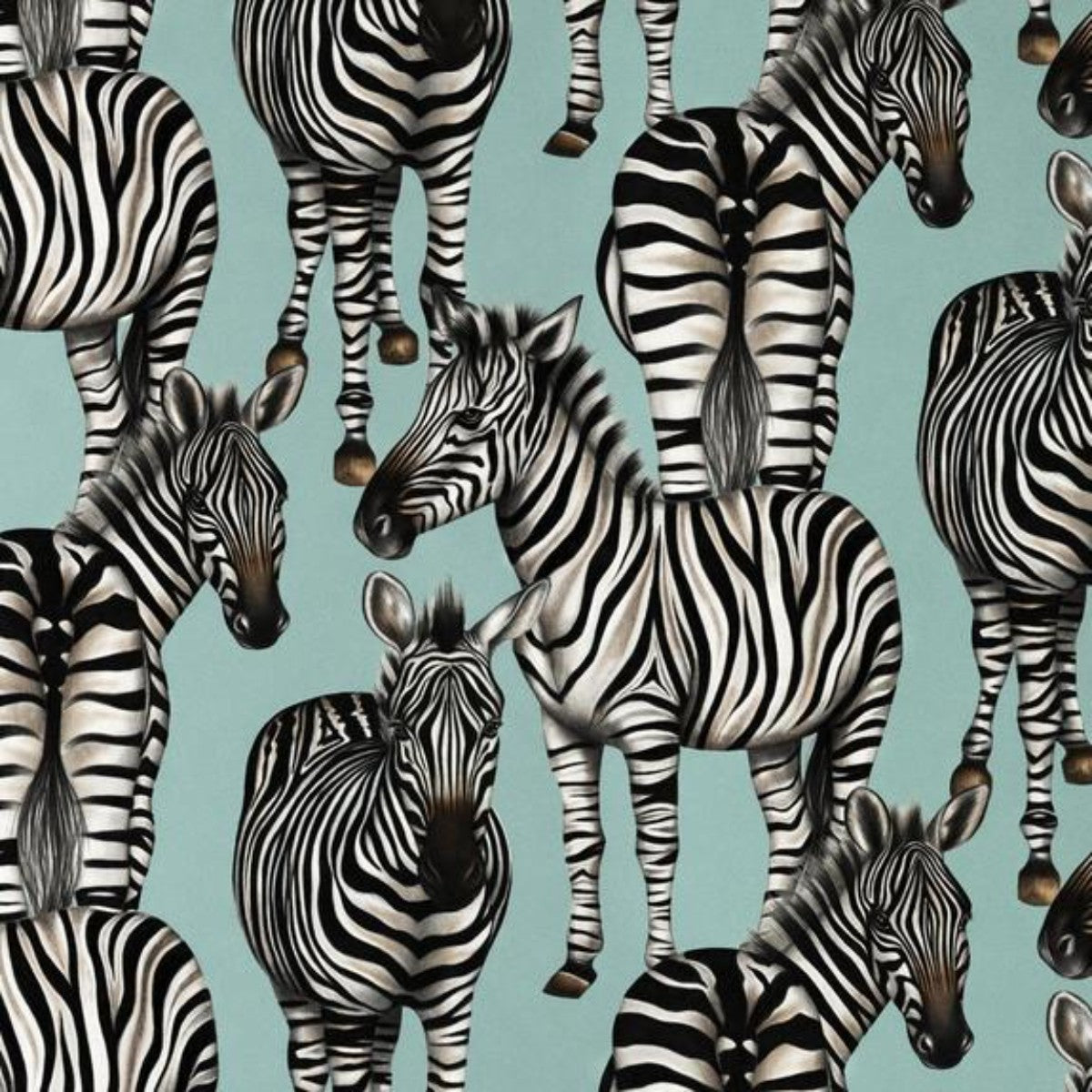 Charlotte Jade | Zebras | Wallpaper