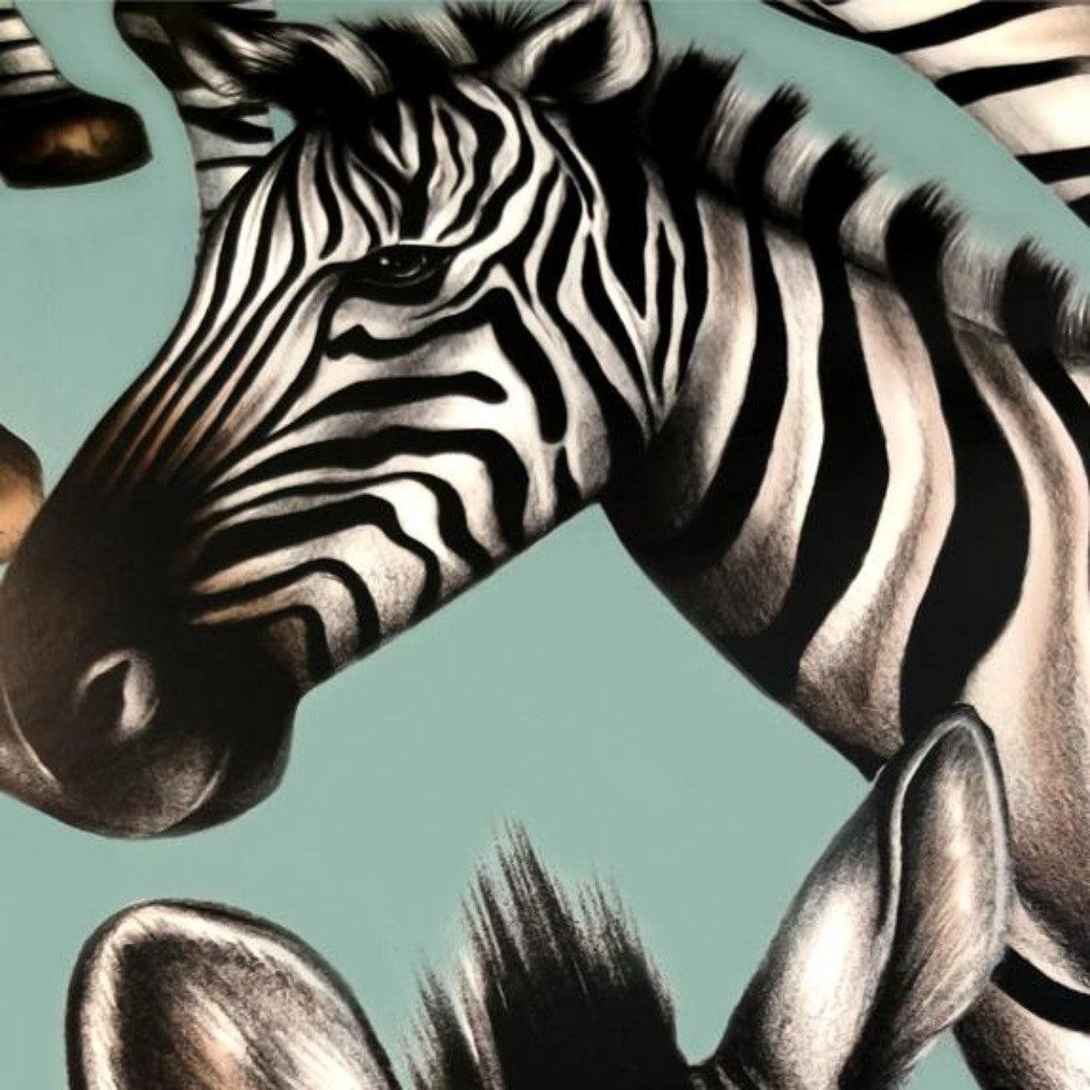 Charlotte Jade | Zebras | Wallpaper