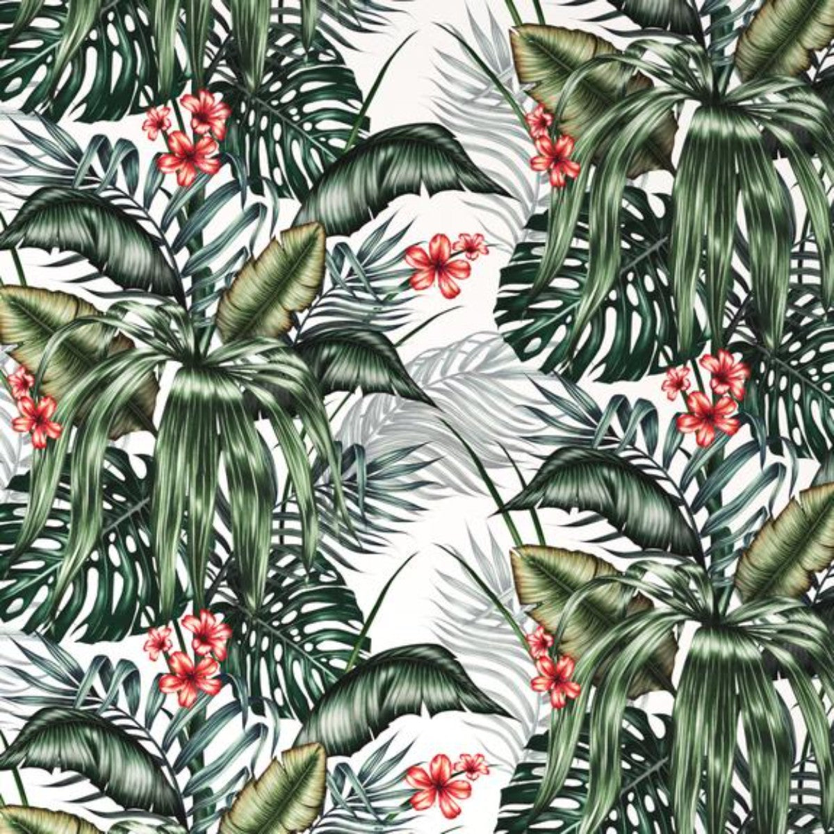 Charlotte Jade | Botanical Garden | Wallpaper