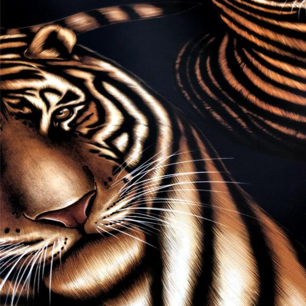 Charlotte Jade | Tiger Tiger | Wallpaper