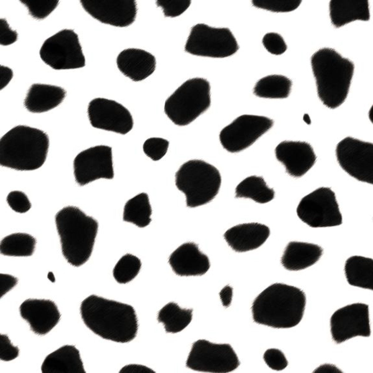 Charlotte Jade | Dalmatian | Wallpaper