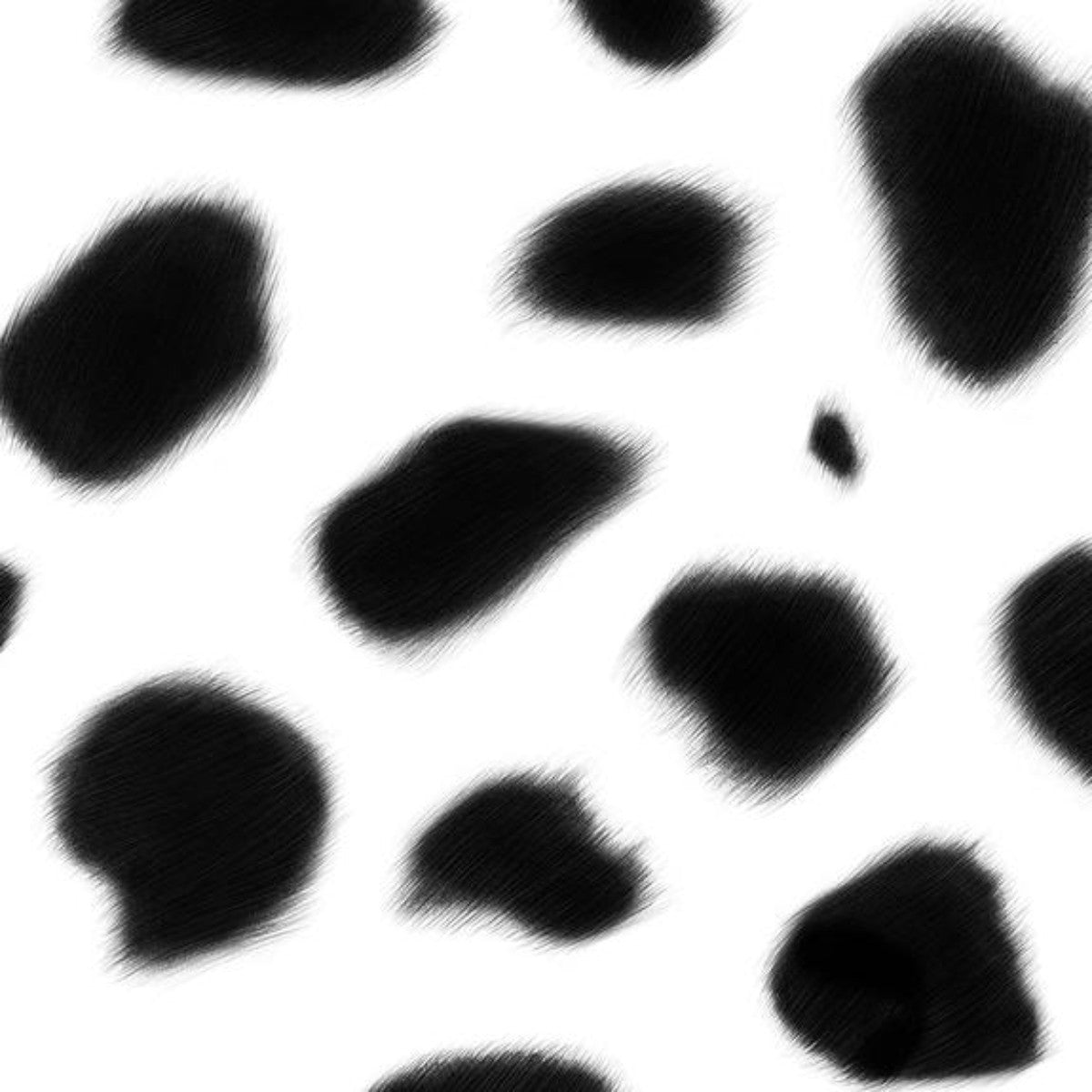 Charlotte Jade | Dalmatian | Wallpaper