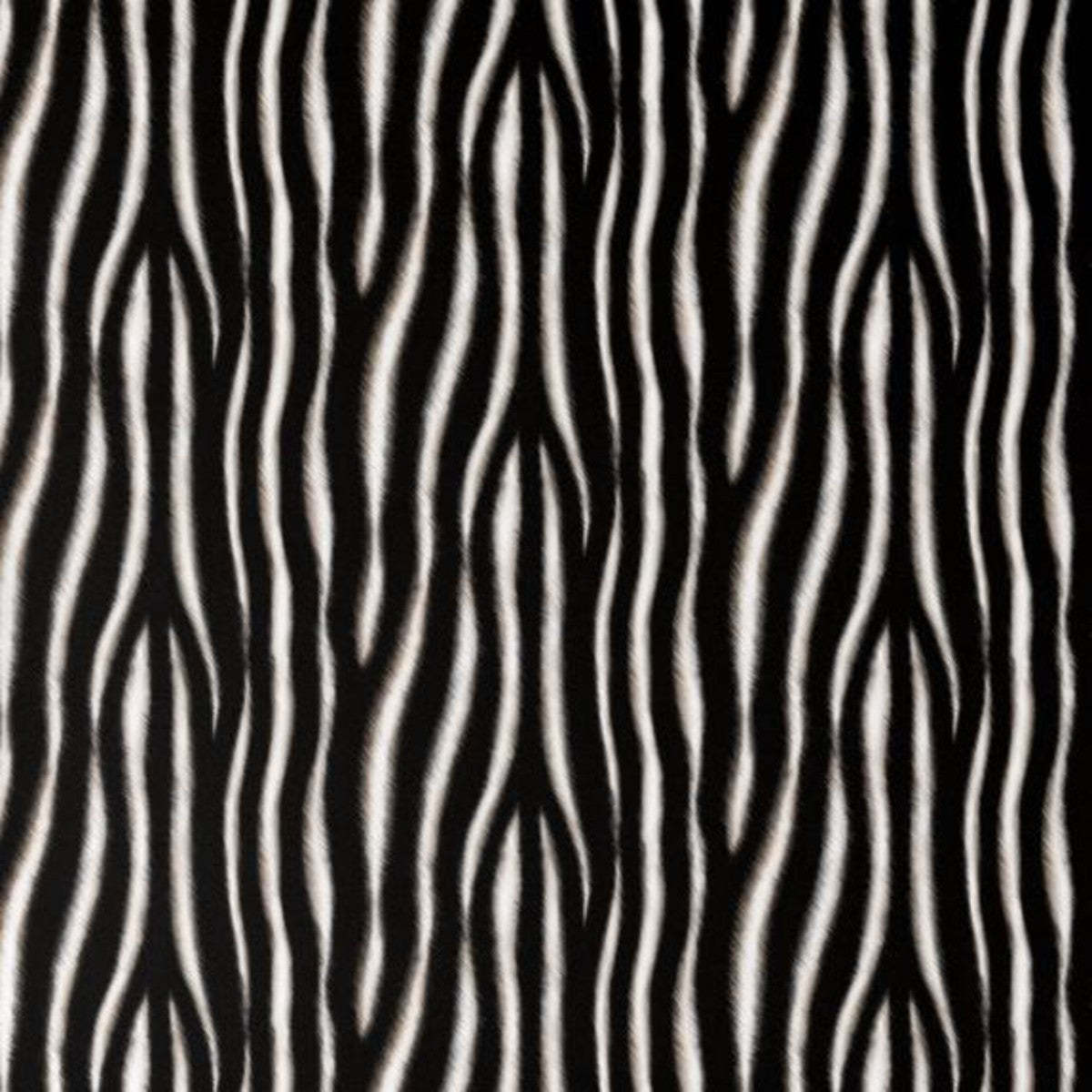 Charlotte Jade | Zebra | Wallpaper