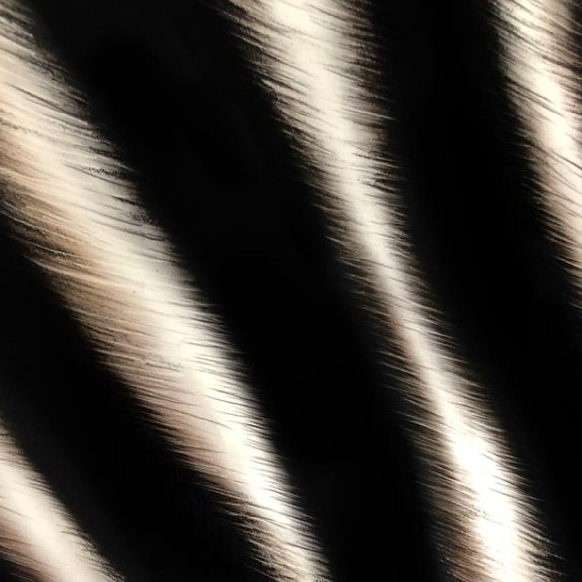 Charlotte Jade | Zebra | Wallpaper