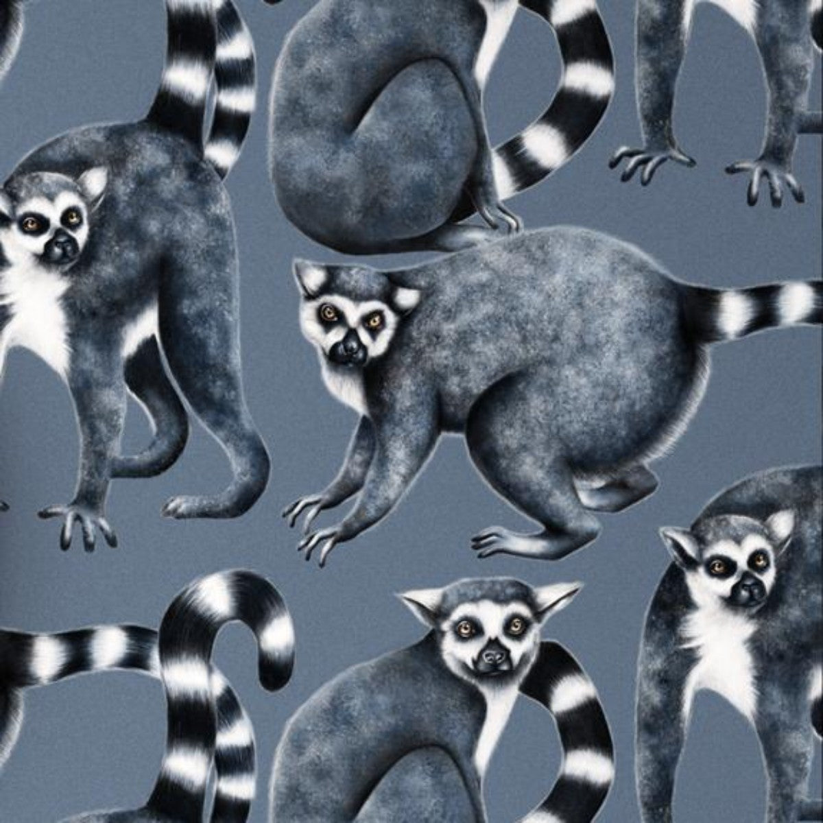 Charlotte Jade | Cheeky Lemurs | Wallpaper