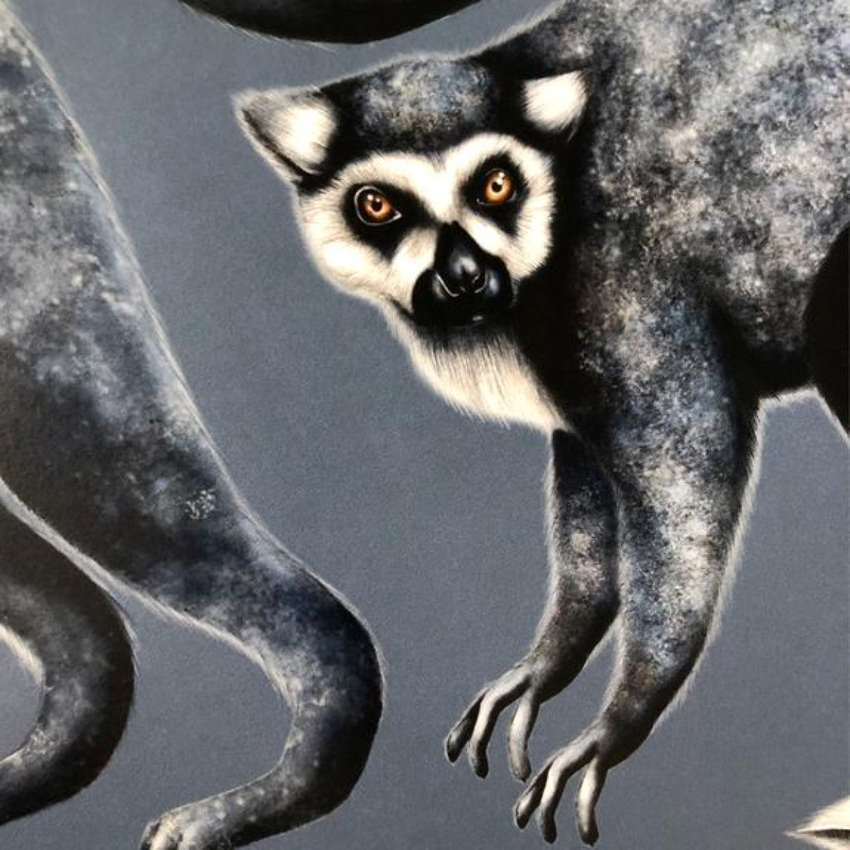 Charlotte Jade | Cheeky Lemurs | Wallpaper
