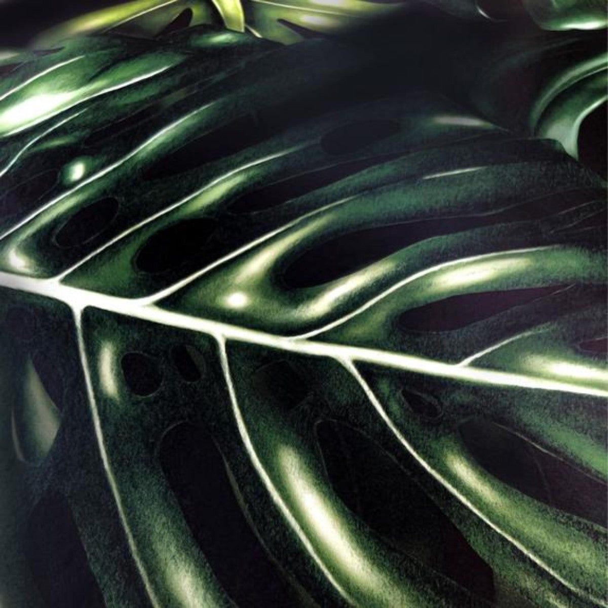 Charlotte Jade | Monstera Deliciosa | Wallpaper