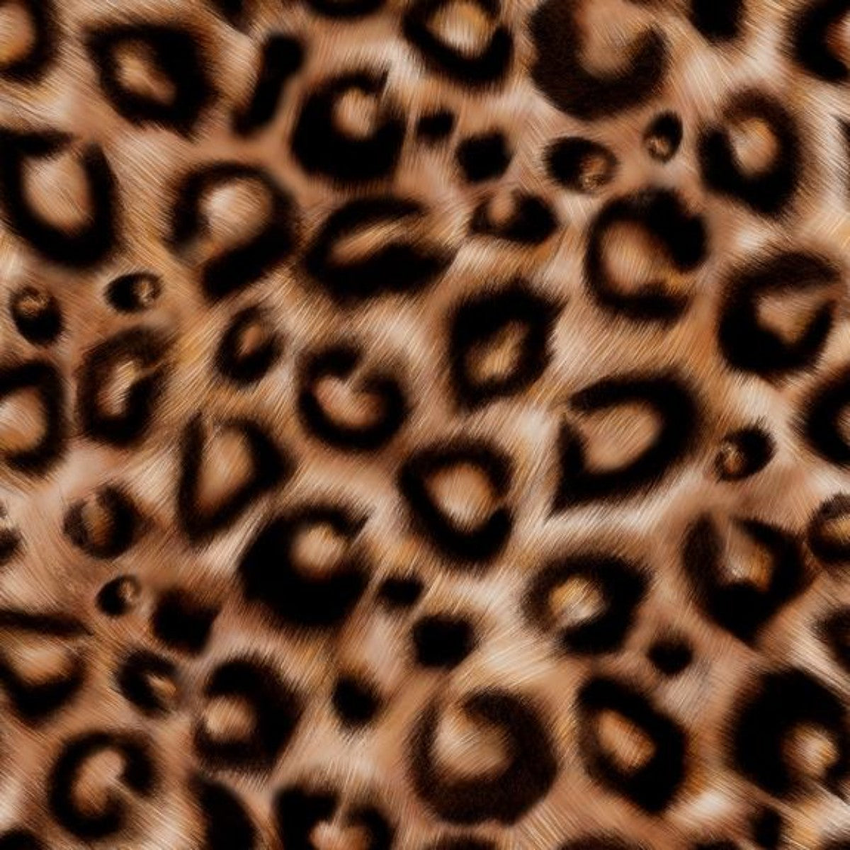 Charlotte Jade | Leopard | Wallpaper