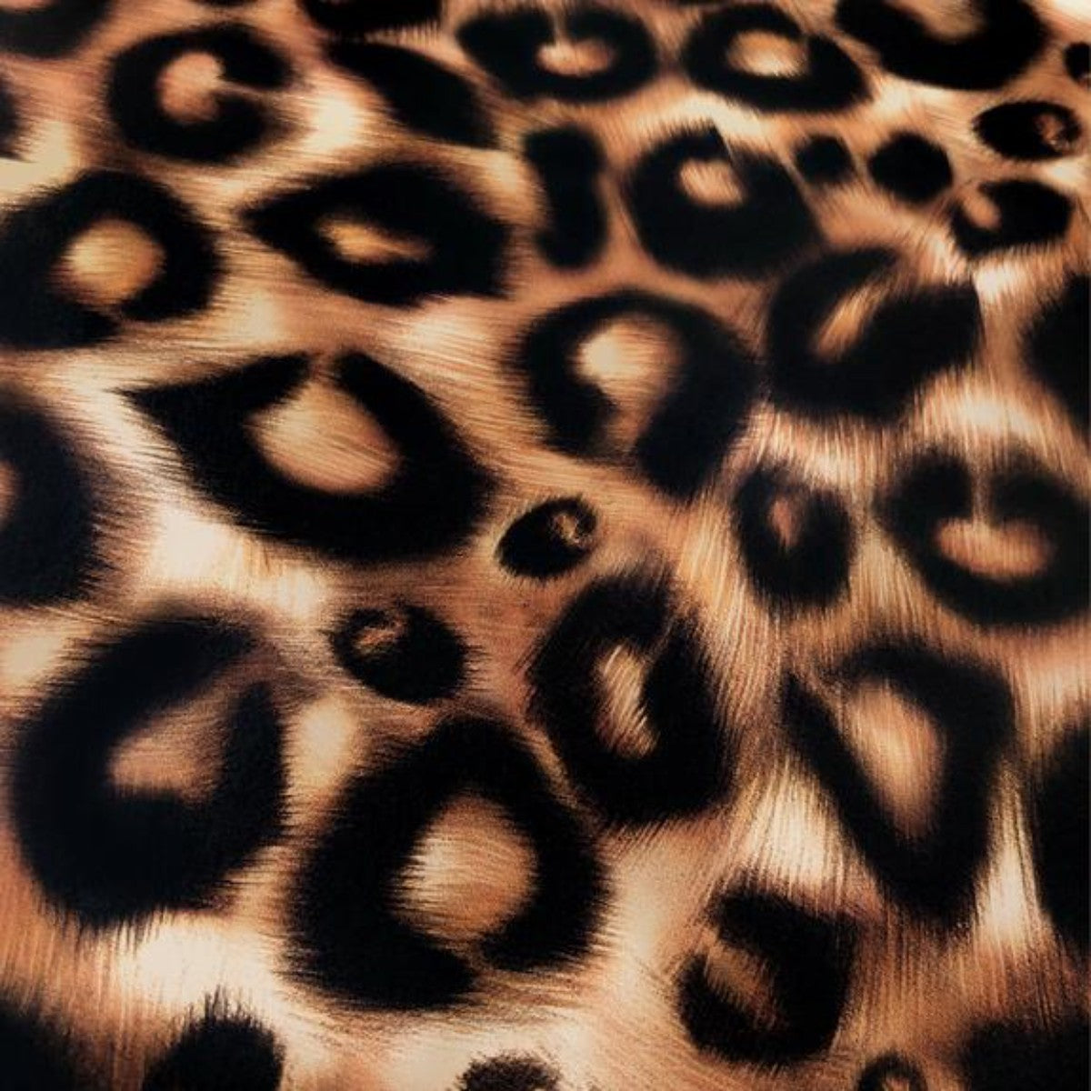 Charlotte Jade | Leopard | Wallpaper