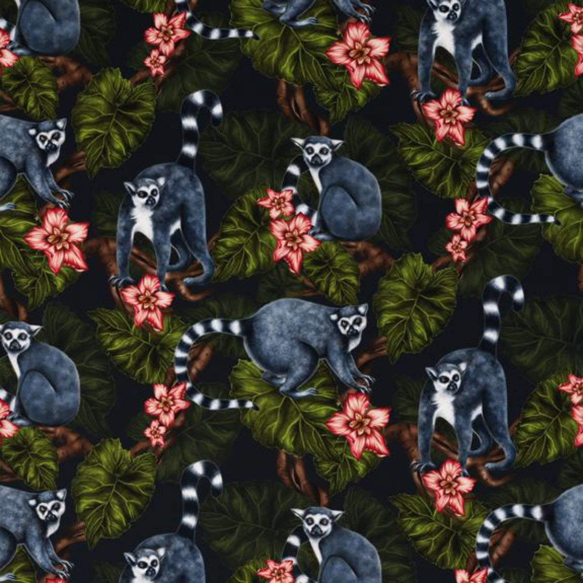 Charlotte Jade | Midnight Madagascar | Wallpaper