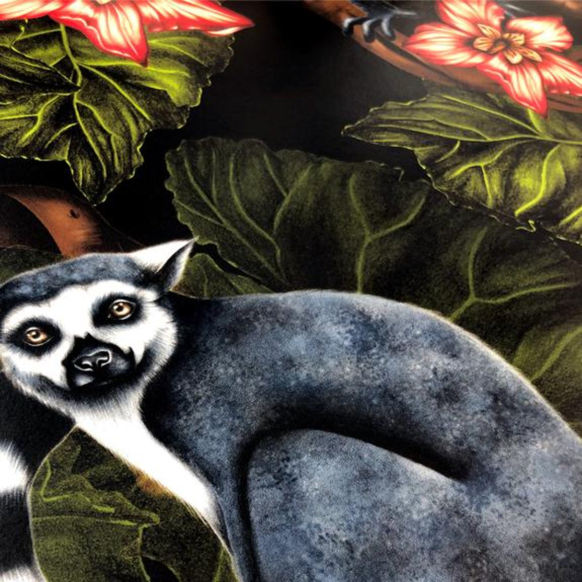 Charlotte Jade | Midnight Madagascar | Wallpaper