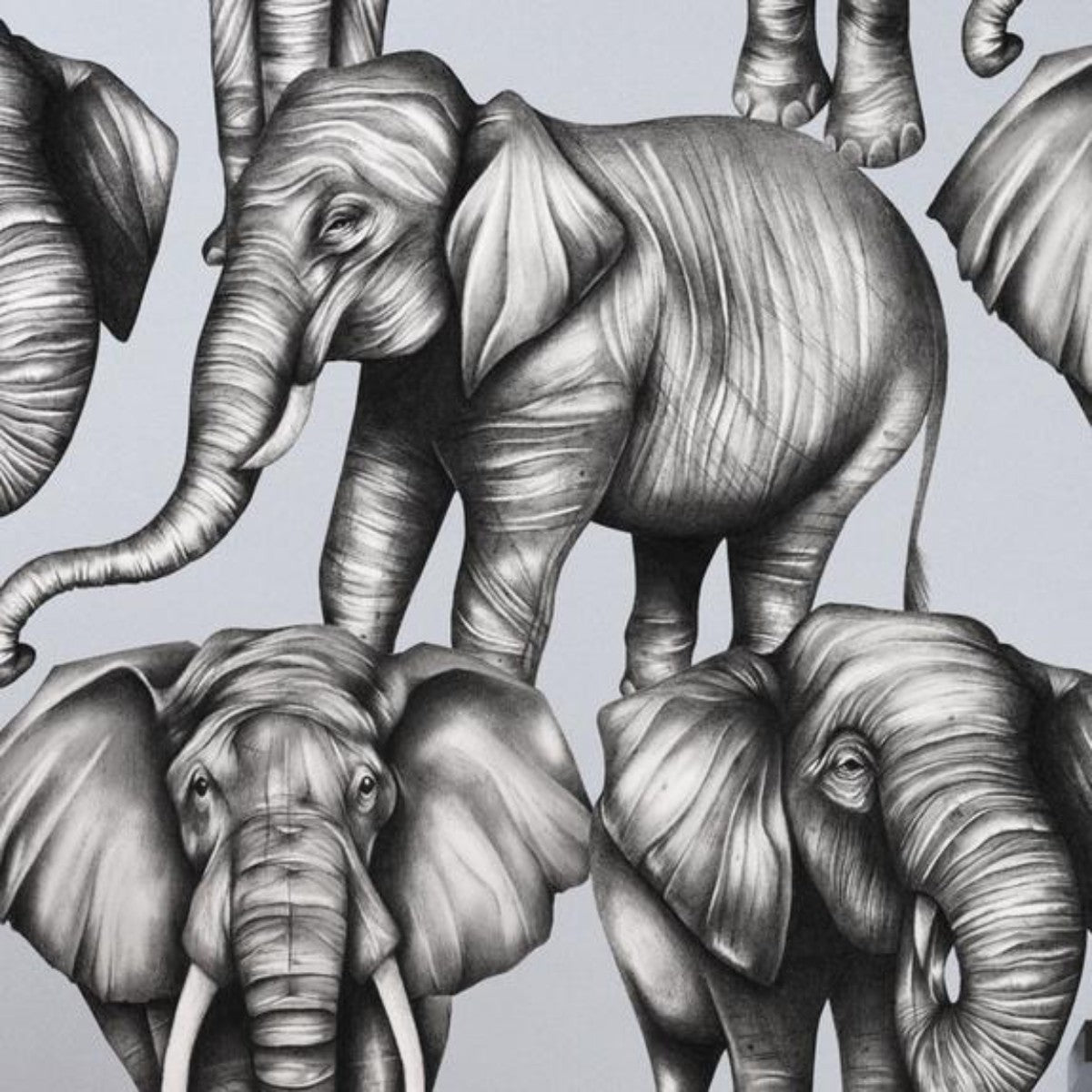 Charlotte Jade | Magnificent Herd | Wallpaper