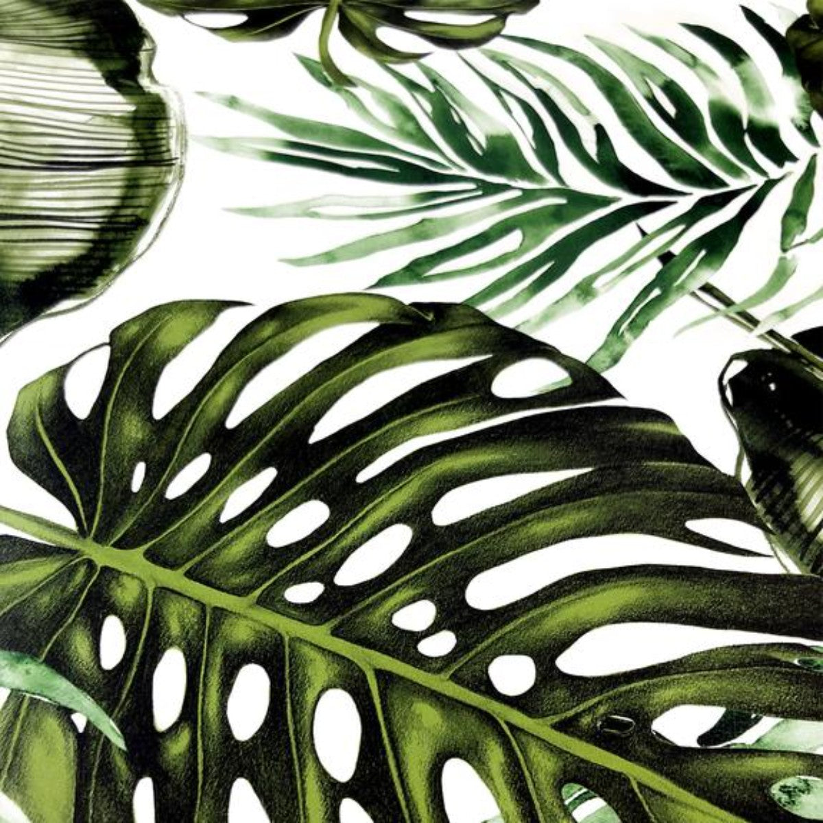 Charlotte Jade | Hybrid Flora | Wallpaper