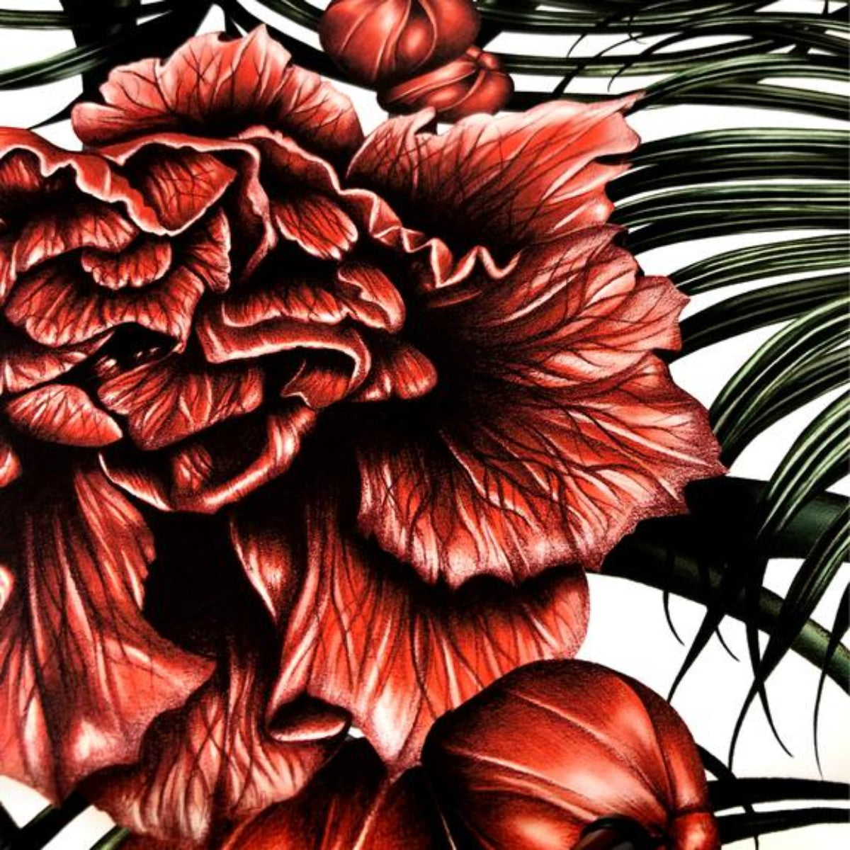 Charlotte Jade | Pomegranate Flowers | Wallpaper