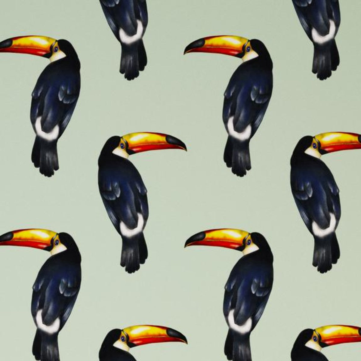 Charlotte Jade | Toco Loco | Wallpaper