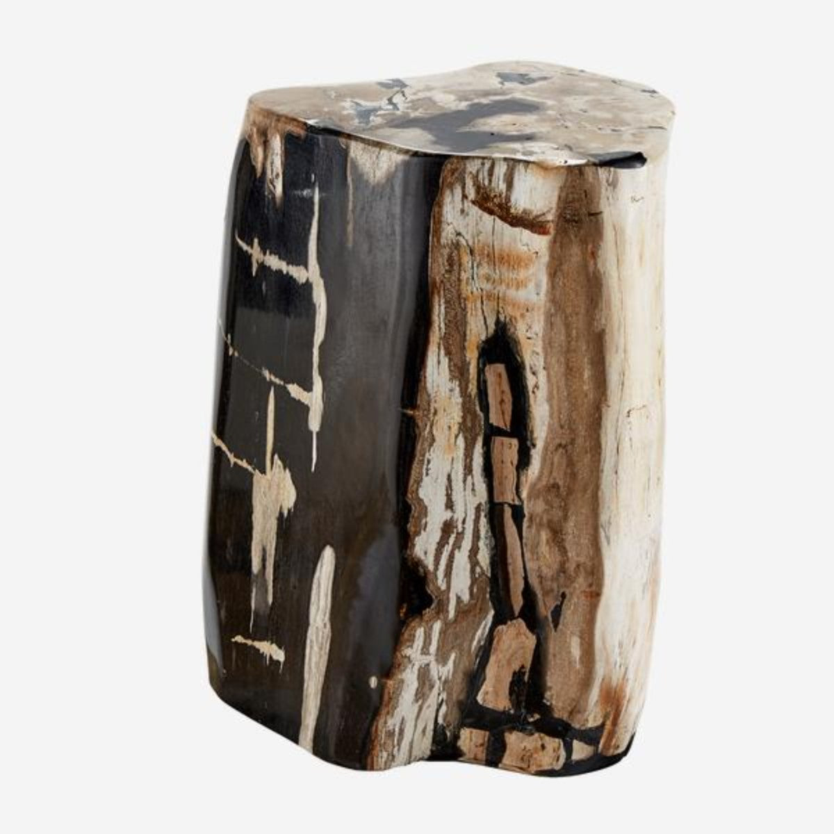 Andrew Martin | Petrified Log Stool