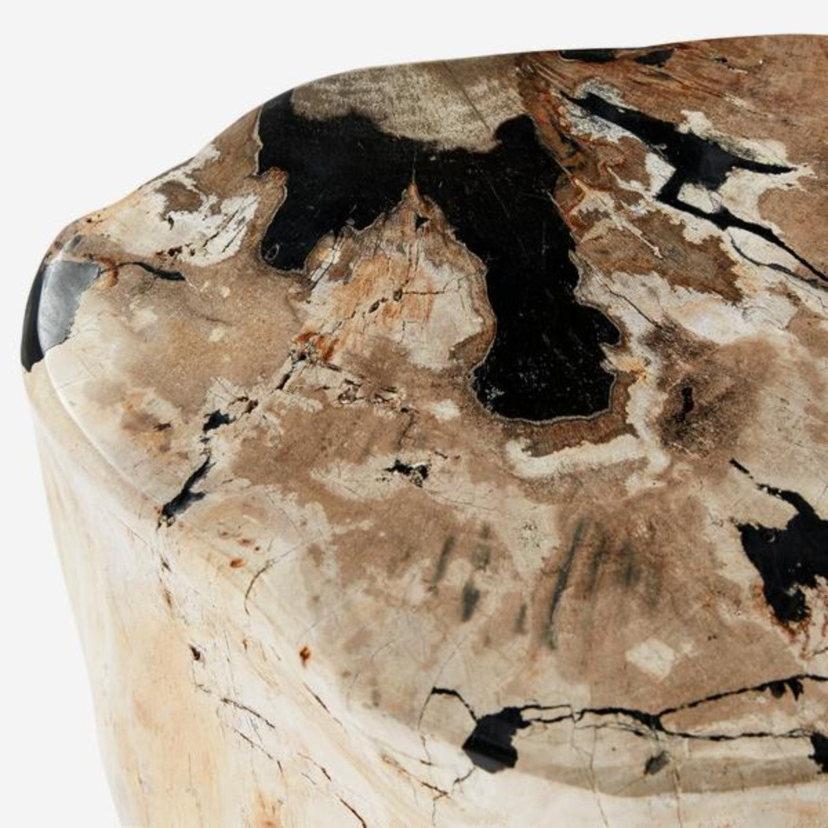 Andrew Martin | Petrified Log Stool