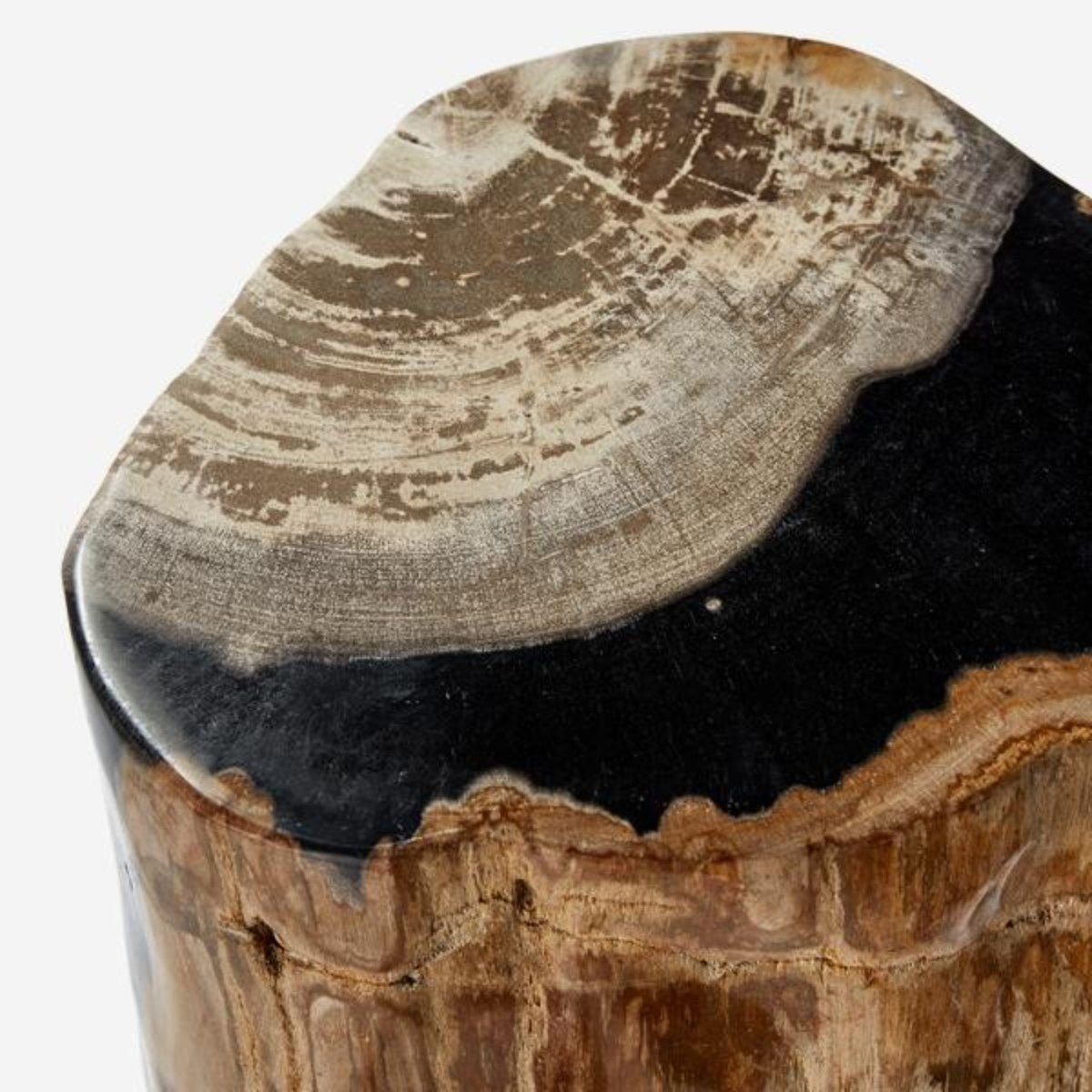 Andrew Martin | Petrified Log Stool