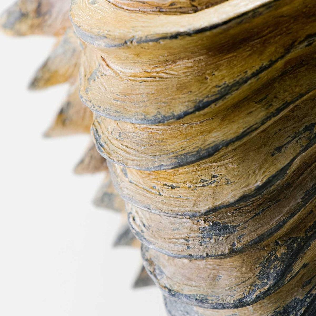 Porta Romana | Clam Shell Wall Light Small