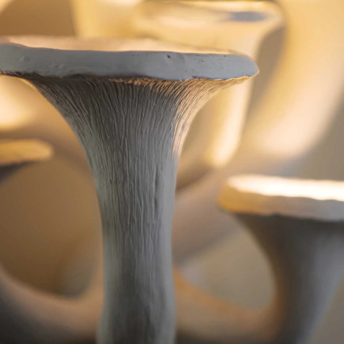 Porta Romana | Mushroom Wall Light Small