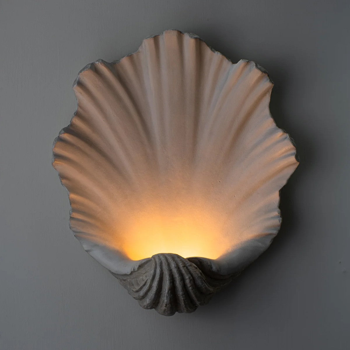 Porta Romana | Scallop Shell Wall Light