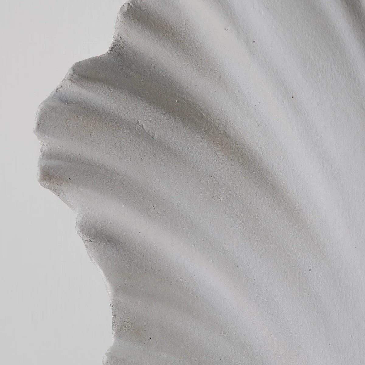 Porta Romana | Scallop Shell Wall Light