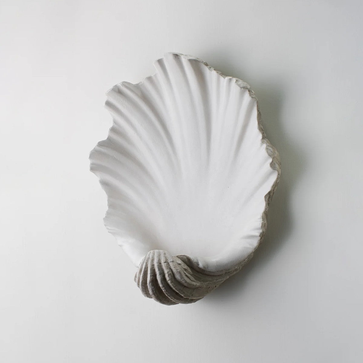 Porta Romana | Scallop Shell Wall Light