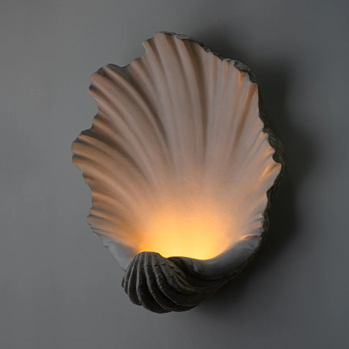Porta Romana | Scallop Shell Wall Light