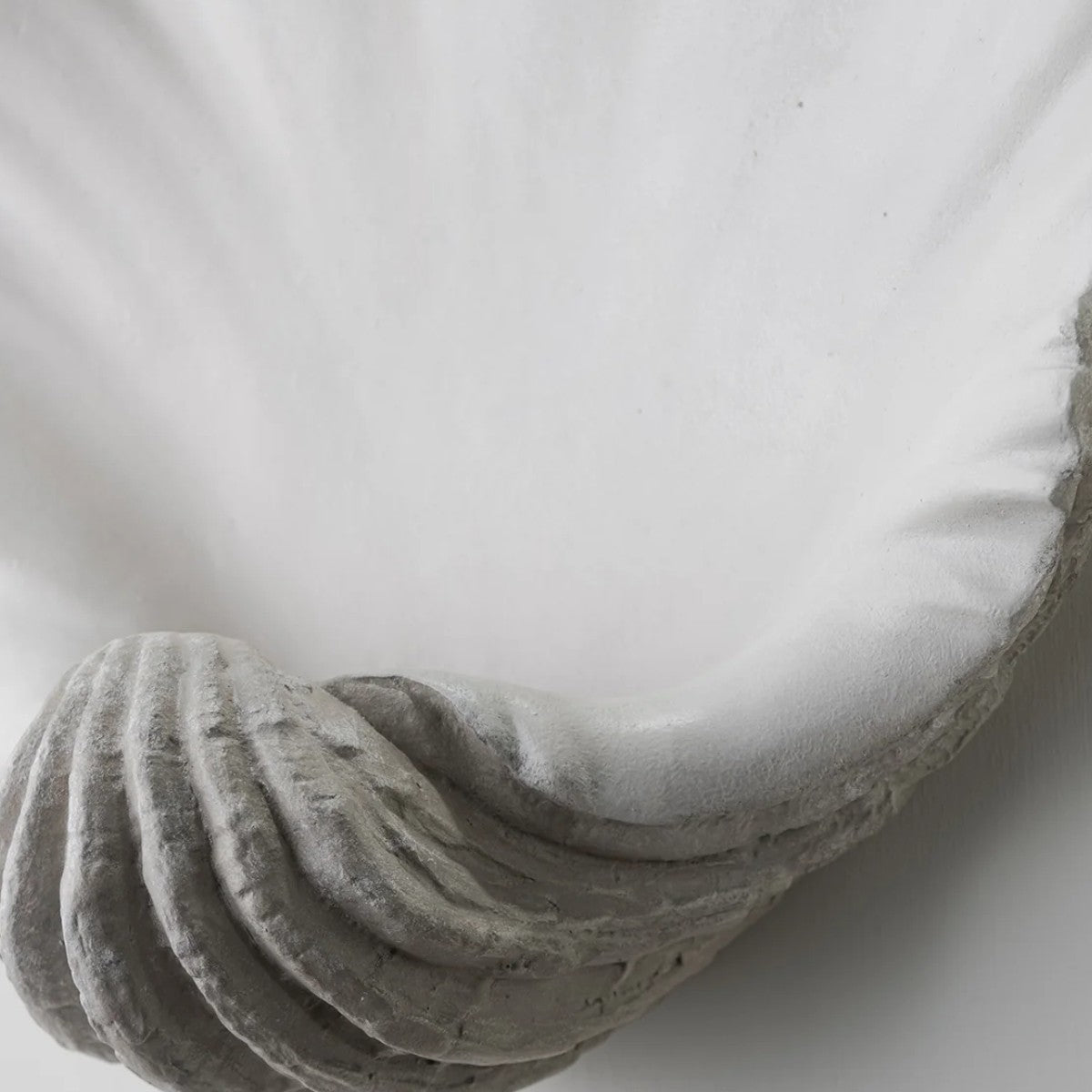 Porta Romana | Scallop Shell Wall Light