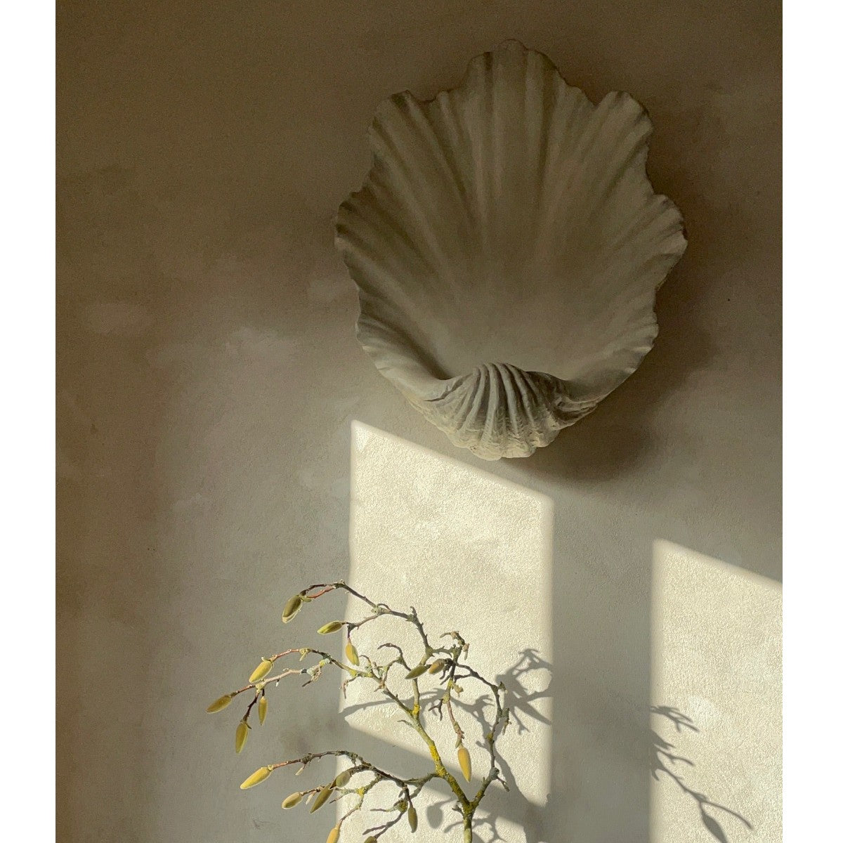 Porta Romana | Scallop Shell Wall Light
