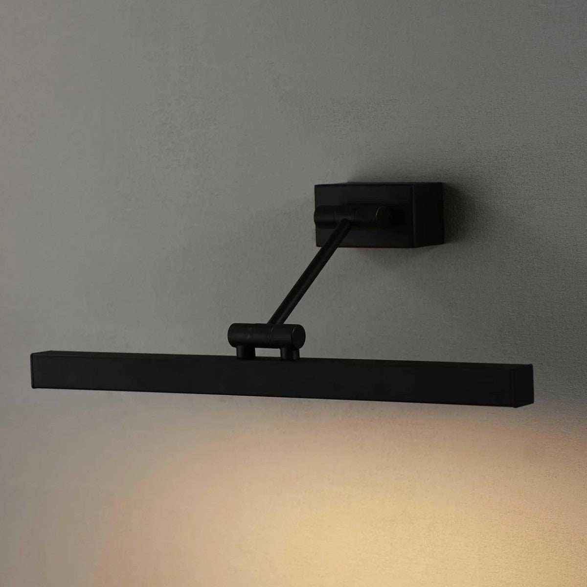 Porta Romana I Picture Wall Light