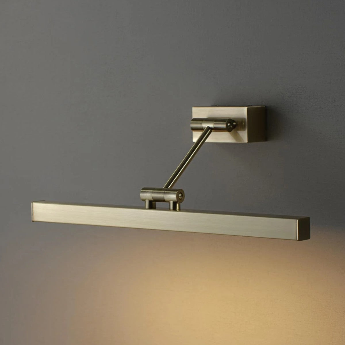 Porta Romana I Picture Wall Light