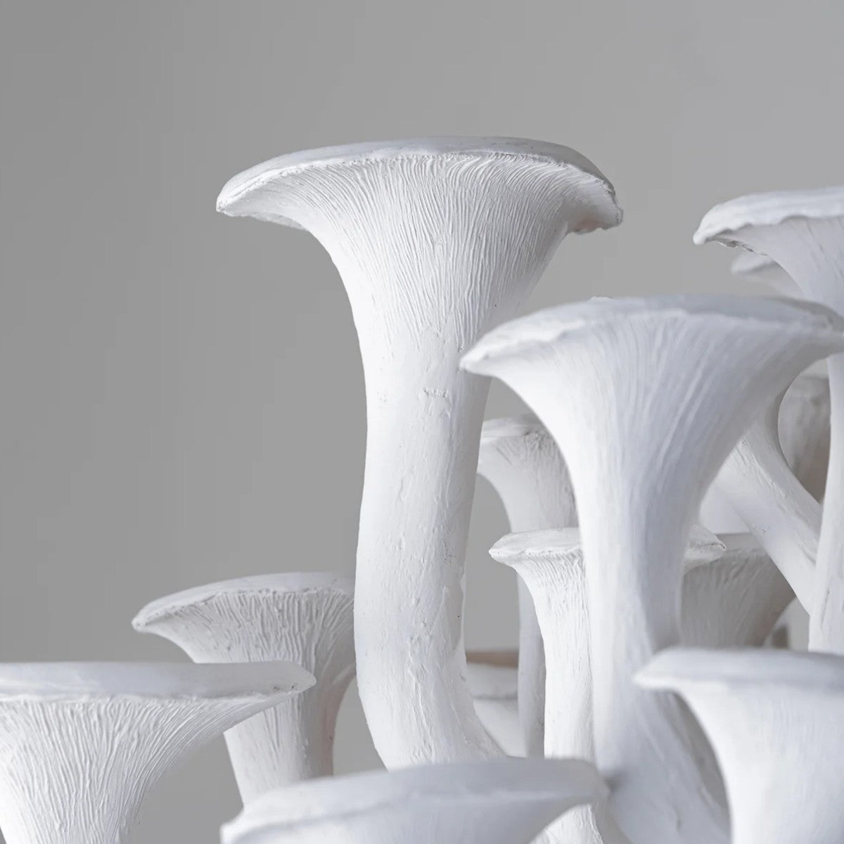 Porta Romana | Mushroom Chandelier
