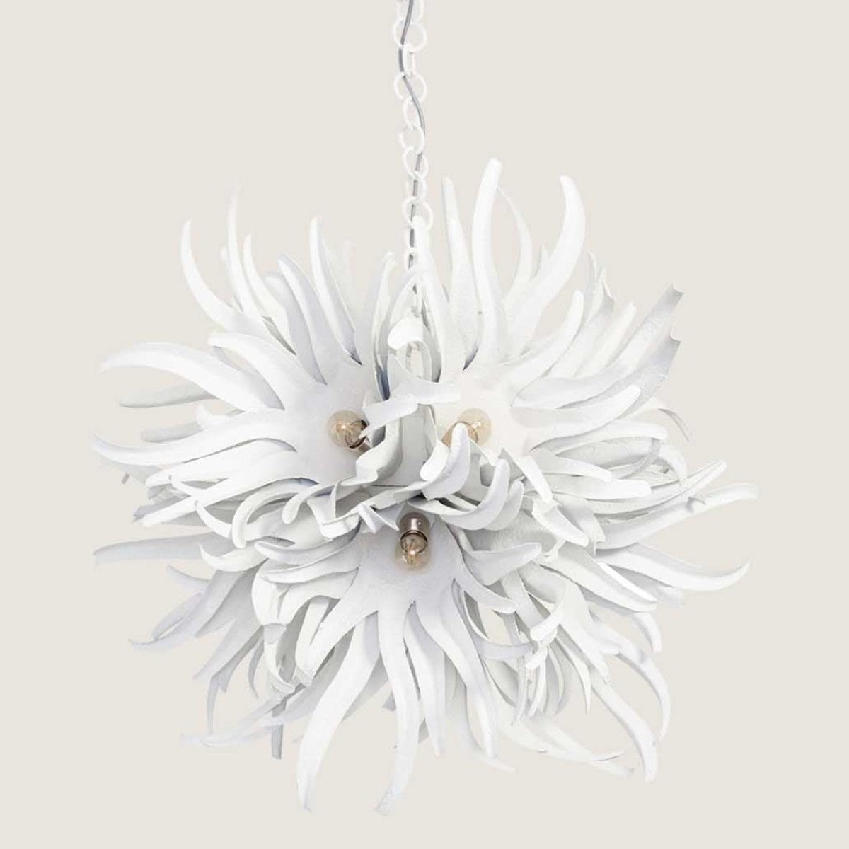 Porta Romana I Urchin Chandelier Small