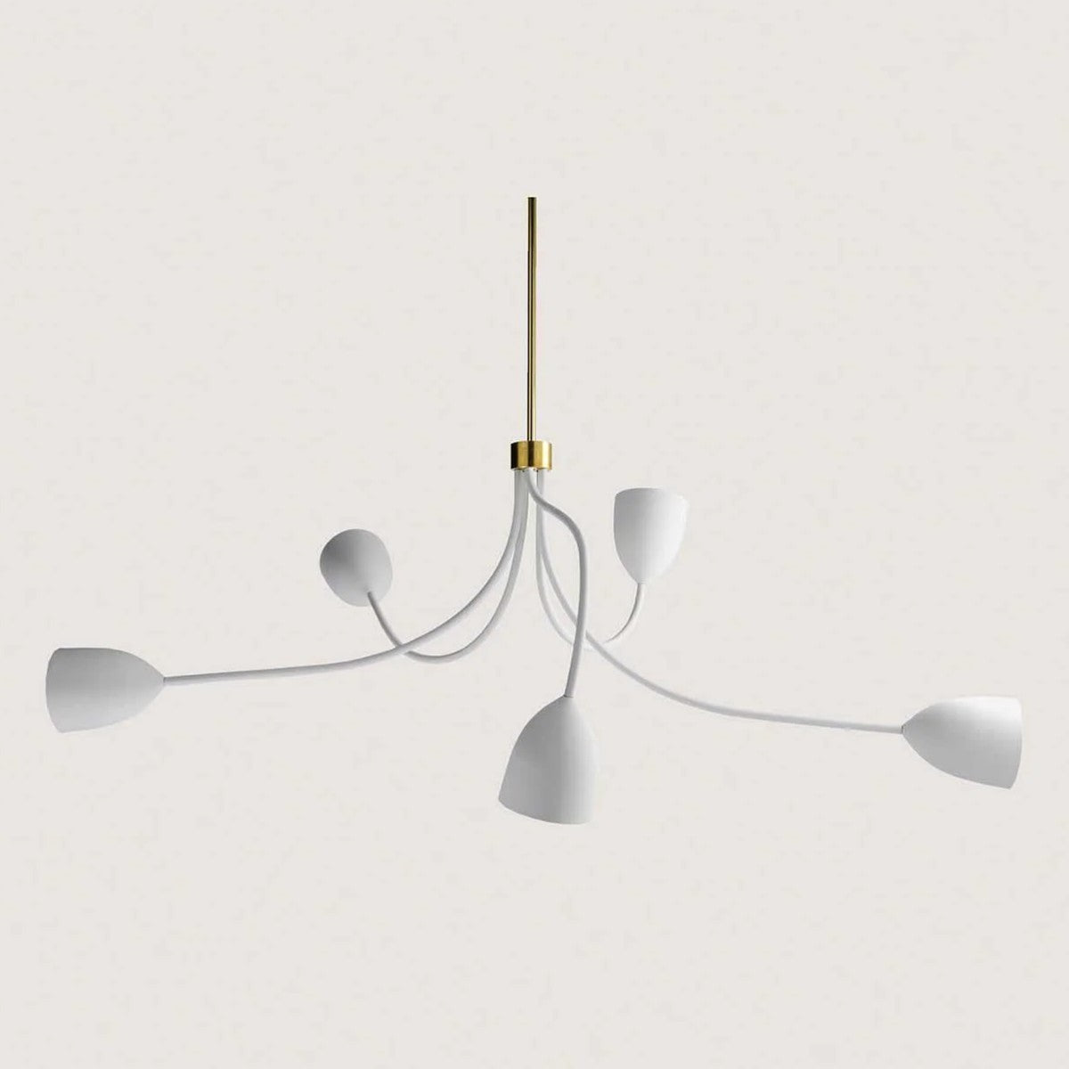 Porta Romana | Tulip Ceiling Light