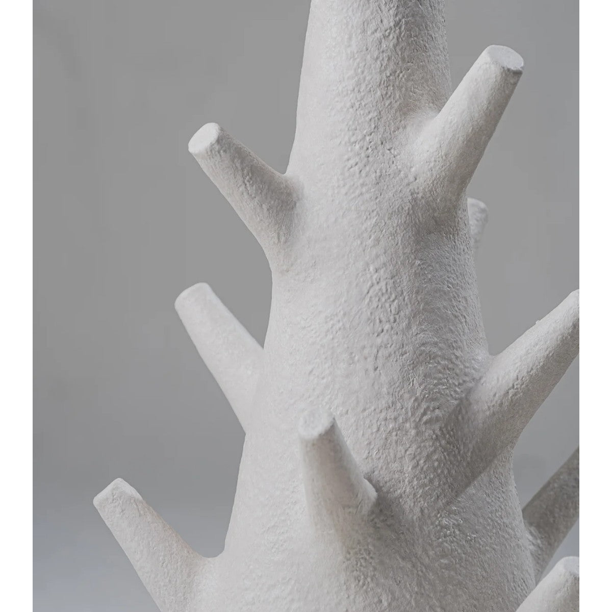 Porta Romana | Fir Lamp Large